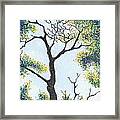 Through The Tree - Lake Of The Ozarks Framed Print