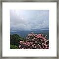 Thunderstorm And Mountain Laurel Blue Ridge Mountains Framed Print