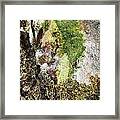 Tide Pool Abstract Framed Print