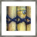 Tied Up Framed Print