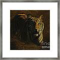 Tiger Art Framed Print