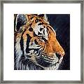 Tiger Profile Framed Print