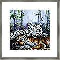 Tigers-mother And Child Framed Print