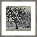 To Stand Alone Framed Print