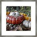 To Swell The Gourd Framed Print