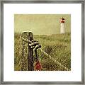 To The Lighthouse Framed Print