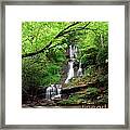 Tom Branch Falls 2009 Framed Print