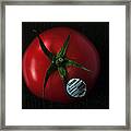 Tomato Framed Print