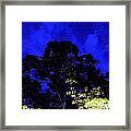 Top Of The Tree Framed Print