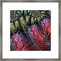 Topography Framed Print