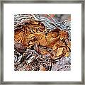 Torn Old Log Framed Print