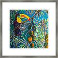 Toucan Tango For Mango Framed Print