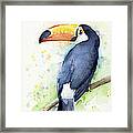 Toucan Watercolor Framed Print