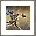 Touch Down Framed Print