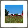 Touch Of Color Framed Print