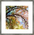 Touch Of Fall Framed Print