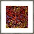 Touch Of The Spanish Gypsy Framed Print