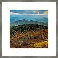 Touch Of Yellow Framed Print