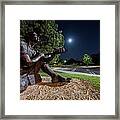 Touching The Moon Framed Print