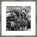 Tough Guys Framed Print