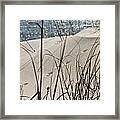 Tracks In The Sand Framed Print