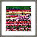 Tractor Races Framed Print