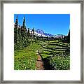 Trail To Mazama Ridge Framed Print