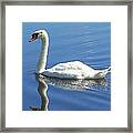 Tranquility Framed Print