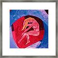 Trapped Beauty Framed Print