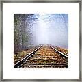 Traveling On The Tracks Framed Print