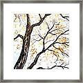 Tree Framed Print