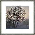Tree In The Foggy Winter Landscape Framed Print