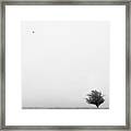 Tree In The Wind Framed Print