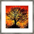 Tree Of Fire Framed Print