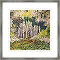 Tree Of Souls Framed Print