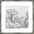 Tree Snow Framed Print