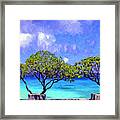 Trees Along The Seawall Framed Print