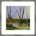 Trees And Pond Framed Print