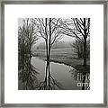 Trees And Reflections Framed Print