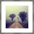 Trees In Mist Framed Print