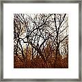 Trees With Figures Framed Print