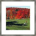 Treetops Golf Framed Print