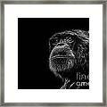 Trepidation Framed Print