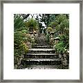 Tresco Abbey Garden Framed Print