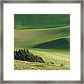 Triangle And Trees Framed Print