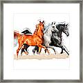 Tricolor Framed Print