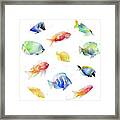 Tropical Fish Round Framed Print
