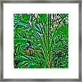Tropical Garden Framed Print