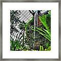 Tropical Paradise Falling Waters Buffalo Botanical Gardens Series Framed Print