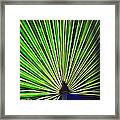 Tropical Patterns Framed Print